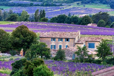 Provence fietsvakantie sault