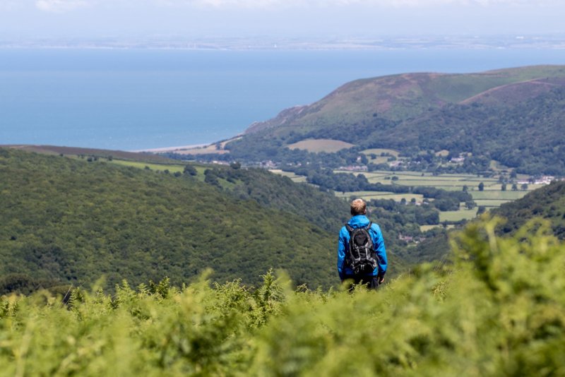 Exmoor national forest