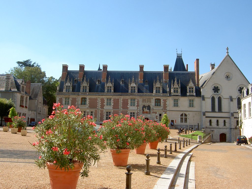 Kasteel Blois