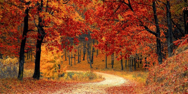 herfst-1200x600.jpg