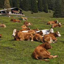Wandelvakantie Zugspitze