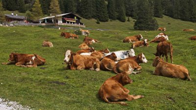 Gaistal - wandelvakantie Oostenrijk