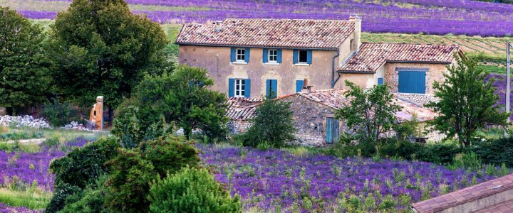 Fietsvakantie in de Provence