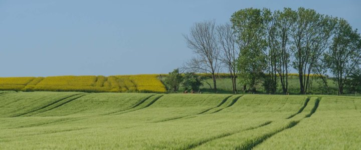 Fietsvakantie West-Duitsland