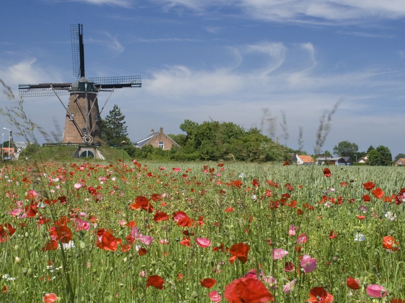 Aardenburg fietsvakantie Belgie