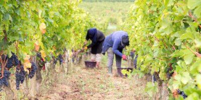 Sainte-Foy-la-Grande fietvakantie