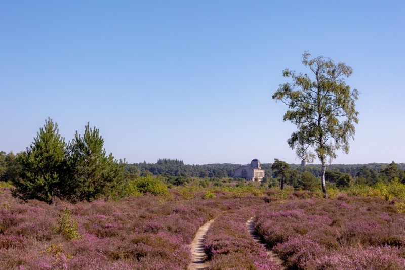 Kootwijkerzand