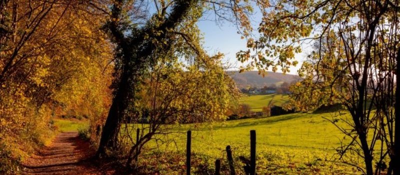Wandelvakantie Nederland