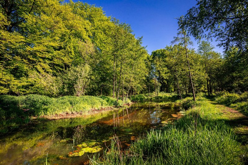 Leudal limburg