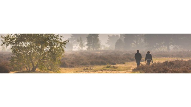 Wandelen door de mooiste natuurgebieden