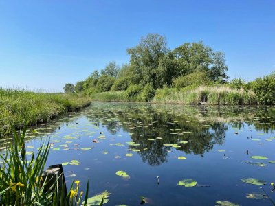 Nationaal Park De Alde Feanen