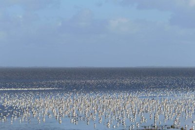 Vlieland