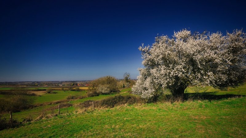 Route D, Borgloon