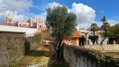 Estoi pechao fietsvakantie