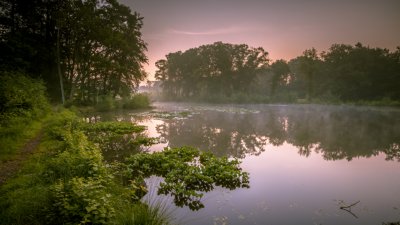 Springendal natuur fietsen