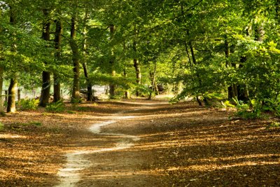 springendal tubbergen wandelvakantie