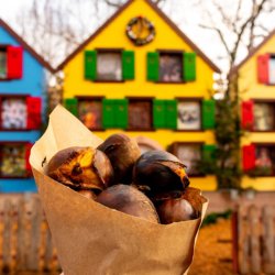 Wandelvakantie Vogezen