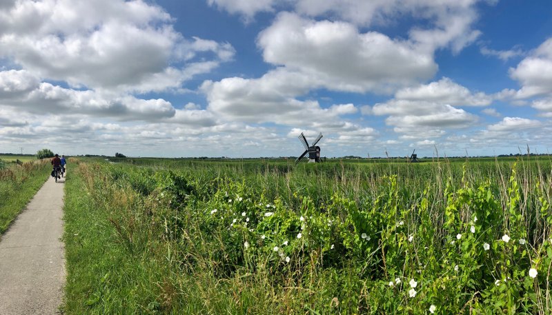 oranjewoud