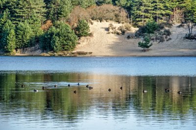 Kennemerduinen