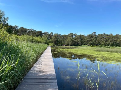 Fietsroute Beetsterzwaag