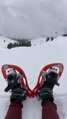 sneeuwschoenwandelingen