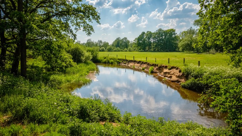 de Dinkel