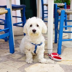 Corfu wandelvakantie