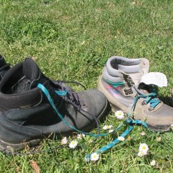 Pieterpad wandelvakantie