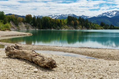 Forggensee