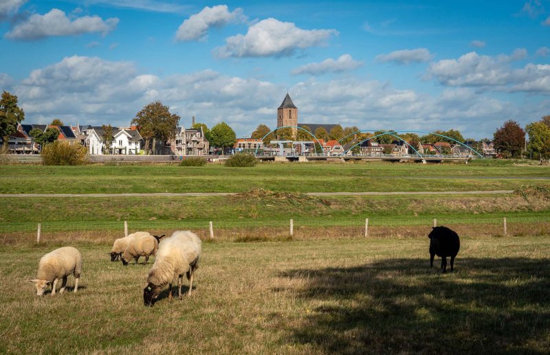 Fietsvakantie Dalfsen