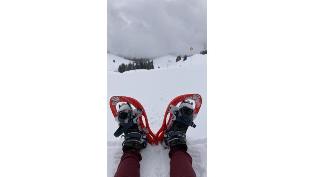 sneeuwschoenwandelingen