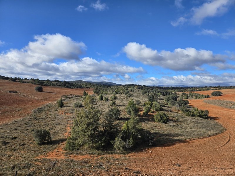 Dag 8, van Estación de Mora naar Segorbe