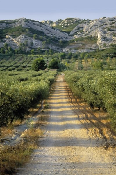 Maussane Les Alpilles