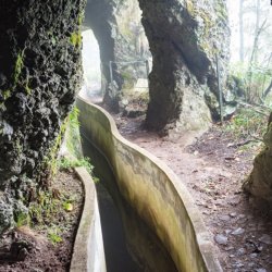Levada