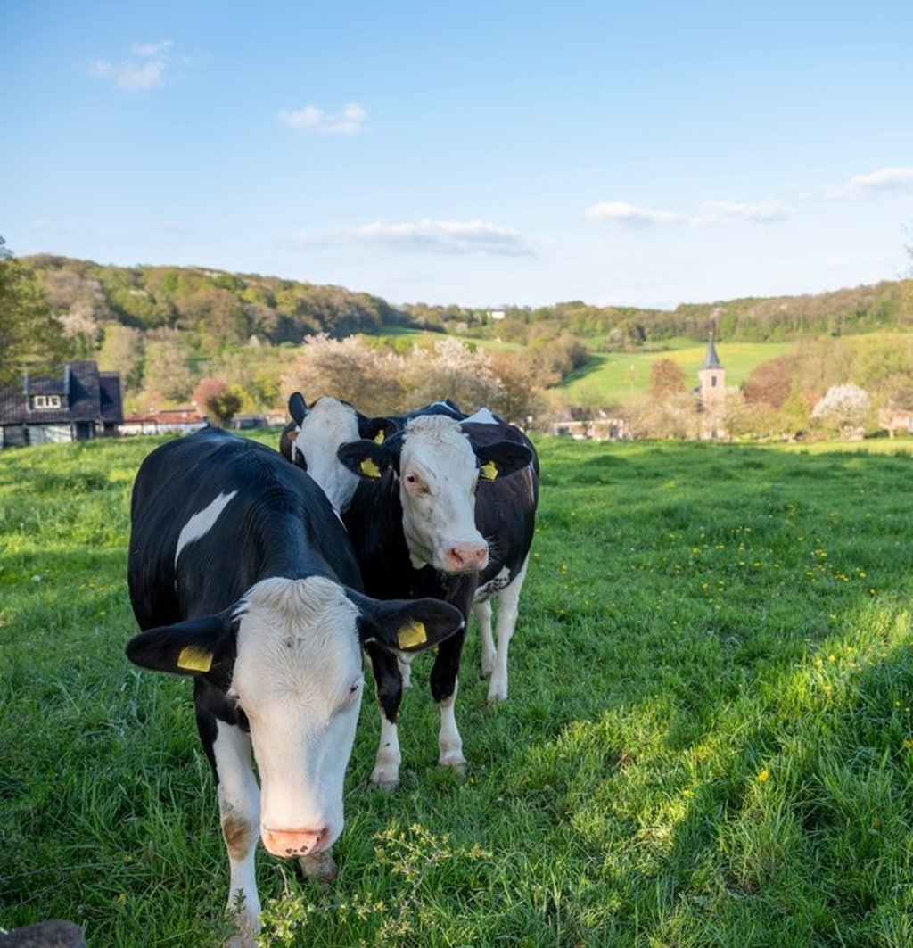 Doorkijkje naar Slenaken