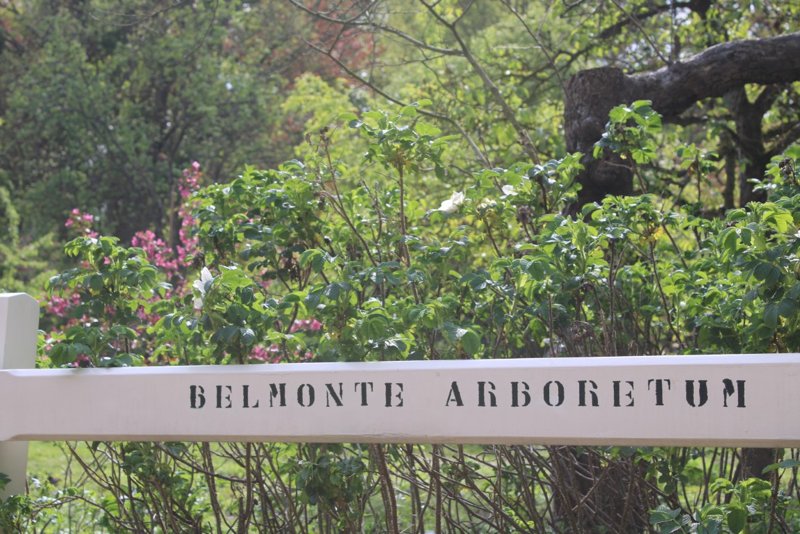 Arboretum Belmonte, Wageningen - dag 1