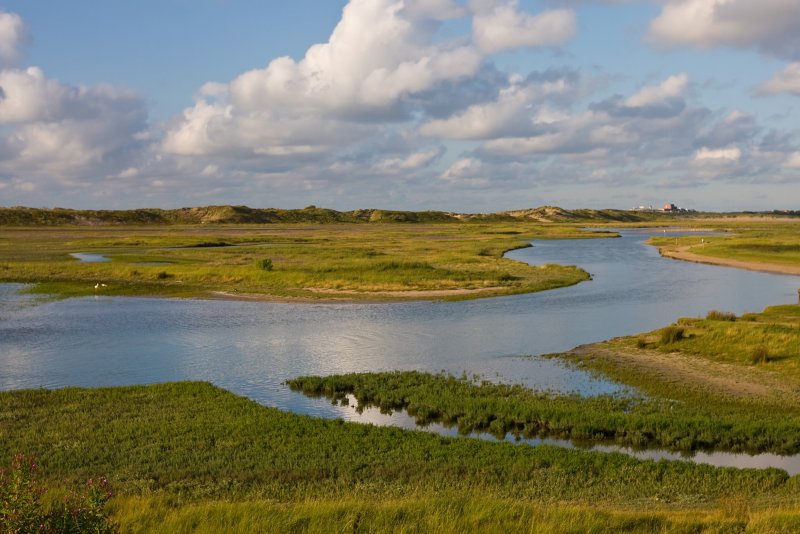 Het Zwin fietsvakantie aardenburg