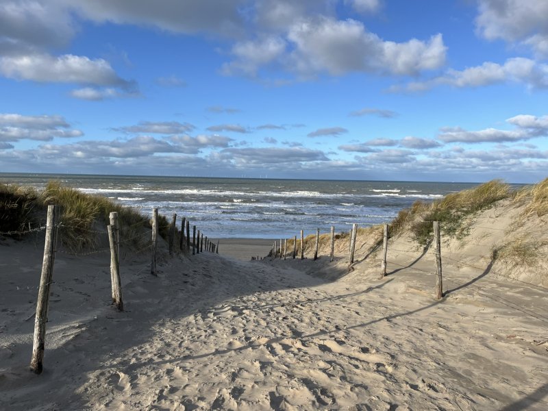 Strand bij Zandvoort