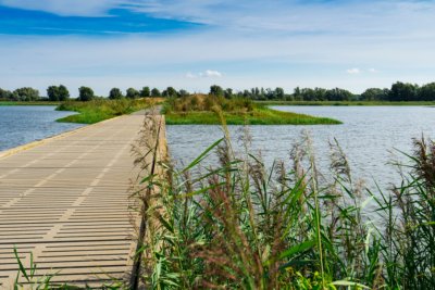 De Biesbosch nationaal park fietsen