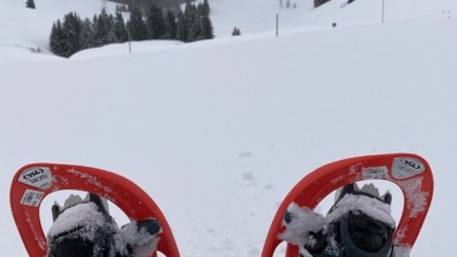 sneeuwschoenwandelingen