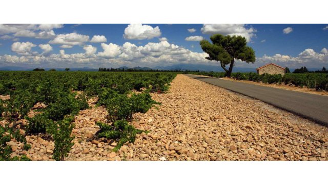 Inspiratie over fietsvakanties