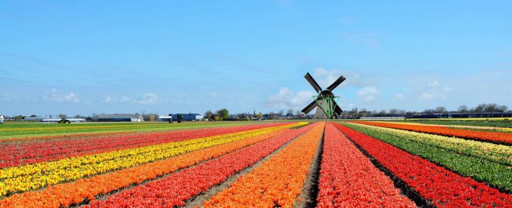 Fietsvakantie Noord-Holland