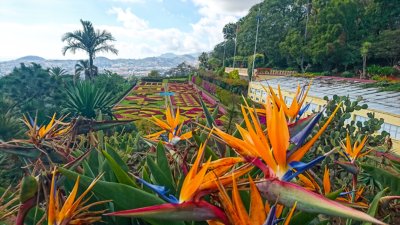 Funchal Madeira wandelen