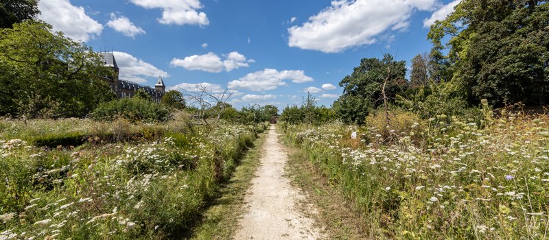 Pieterpad per Etappe