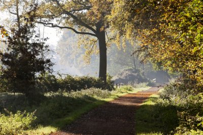 Fietsen Oldenzaal Ootmarsum