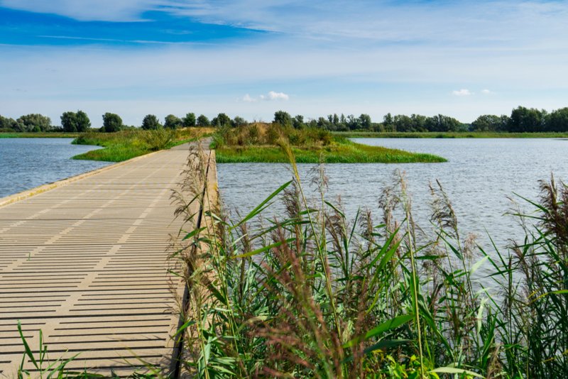 Route 4 - de Biesbosch