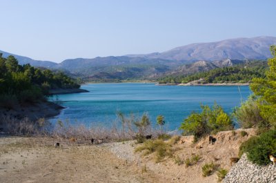 Apolakkia
