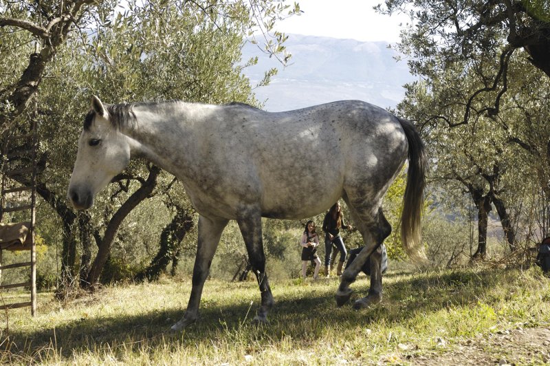 fietsvakantie umbrie italie
