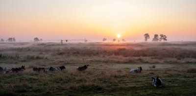 De Weerribben fietsroute