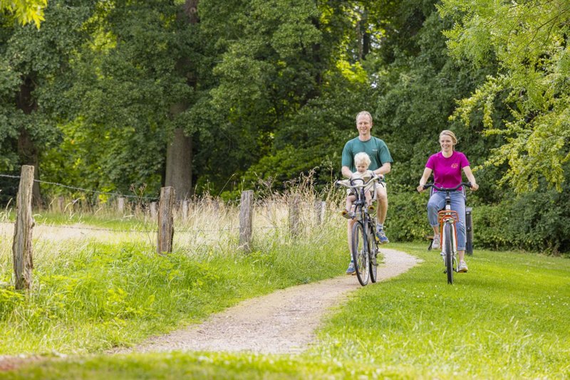 Fietsen door het essenlandschap